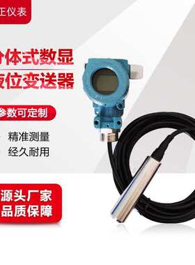 SK2703-C-025-C-Y-1-0-X;投入式液位变送器带显示
