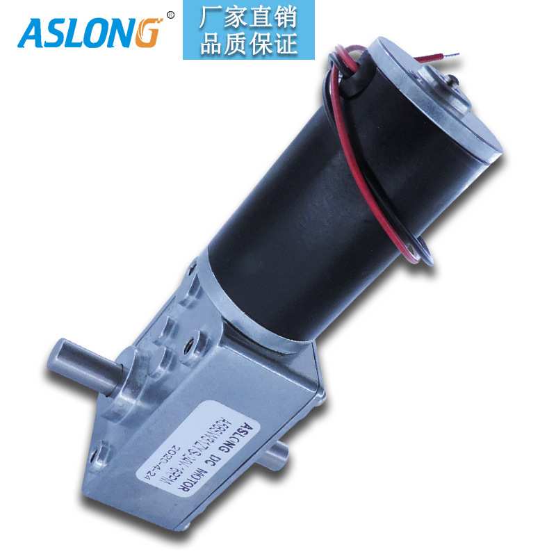 ASLONG涡轮蜗杆减速电机 A58SW31ZYS 双出轴带自锁双轴承减速马达