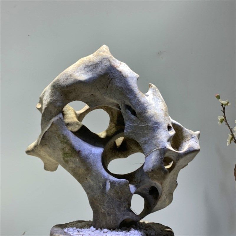 天然奇石太湖石原石摆件鱼缸造景假山景观石盆景附石观赏石灵璧石,家居饰品,装饰摆件,淘宝优惠券,粉丝福利购,淘宝优惠卷