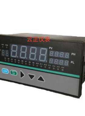 DY21D12164M  16路巡检仪带RS485