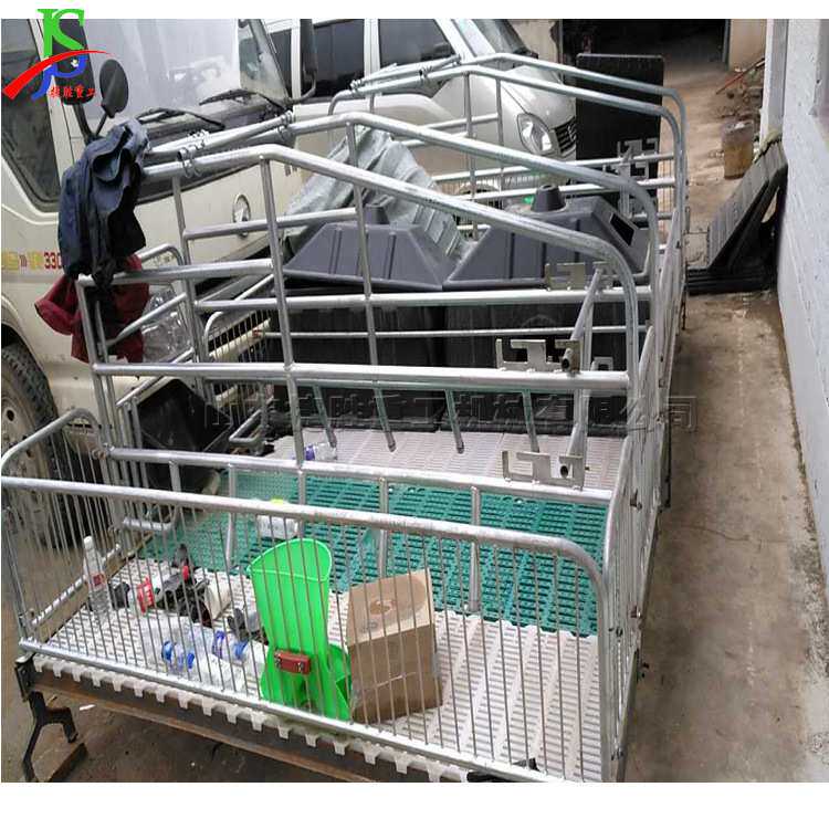 热镀锌管材焊接母猪产床 围栏整体固定式产床 单体母猪分娩床