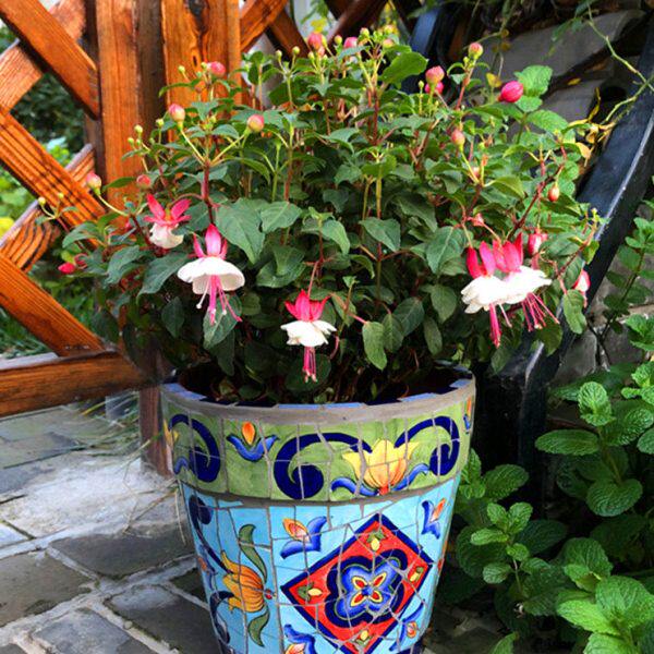 陶瓷马赛克肉肉小花盆花盆多肉飘窗阳台特色绿植小花盆创意盆摆件