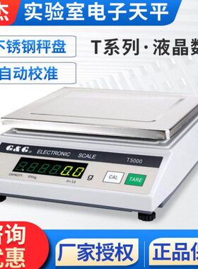 常电子称TT系列/020/05010-Y系列电子天平Y0/T00双T天平杰20熟
