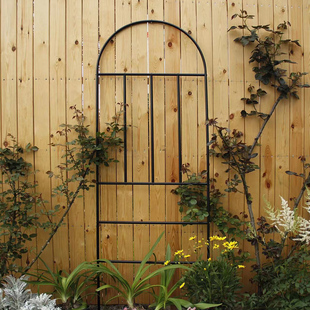 花架爬藤架绿萝月季 花架插地蟹爪兰植物网格架庭院阳台植物攀爬架