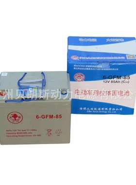 Torch/火炬蓄电池6-GFM-85 12V85Ah 免维护动力电池  全国联保