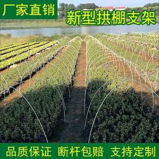 玻璃纤维小拱棚支架简易防虫网拱杆农膜蔬菜园玻璃钢塑料大棚弓子