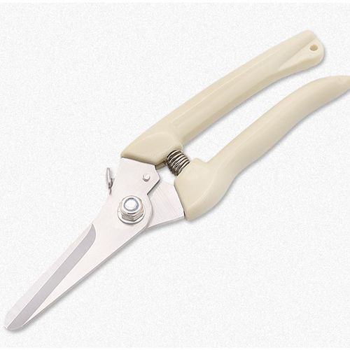 不锈钢园林园艺修枝剪刀 家用修花修剪刀 树枝弹簧剪刀花剪工具剪