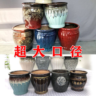 大叶绿萝柱散尾葵夏威夷竹客厅发财树大号特大号超大号陶瓷花盆