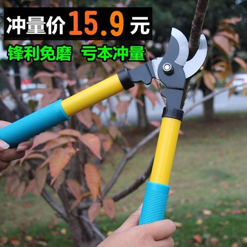 果树修剪树枝剪刀省力修枝剪粗枝剪高枝剪花剪摘果剪园林园艺工具