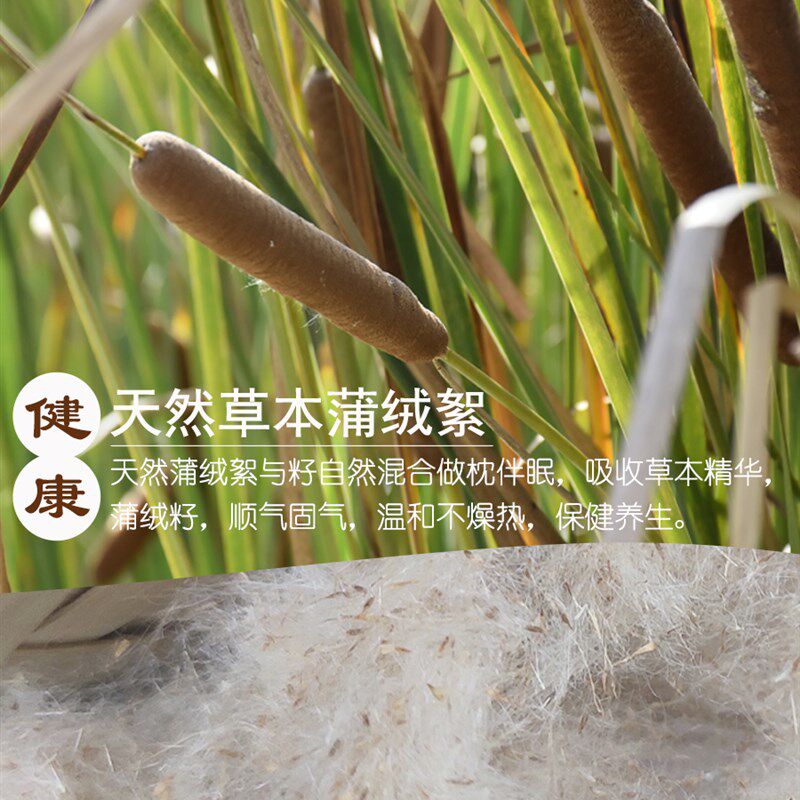 天然蒲绒枕头蒲絮水蜡烛芦花蒲草香蒲绒香蒲枕填充物枕芯送枕套