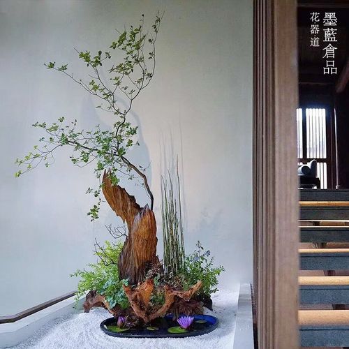 墨蓝花道馆空间花艺布置 酒店民宿美术馆博物馆S日式中式插花服务