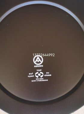 170836000罗茨风机空气滤芯175241000