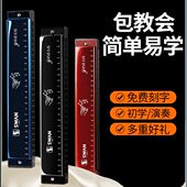 专业士级孔 女学生男演奏儿童初学者C调宽复乐器天鹅口琴音2824