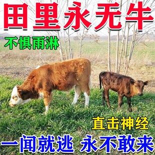 驱牛神器【1秒牛逃】驱羊牛鼠农田果园庄稼地专用驱鸟香包永无牛