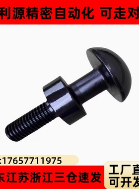 CHN/CHNL/10/12/16/20/24/30/36汽车冲压模具标准件吊钩