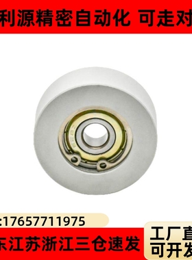 FTMRN30/FTMRN40/FTMRN50/FTMRN60/FTMRN100平型导向滚轮