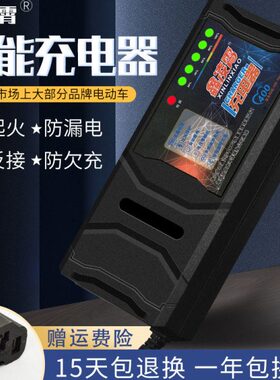 V20T关0248VA电动车电瓶充电器智能自动H7洋0H6银机AV3孔适用12A