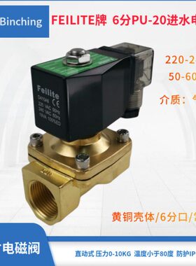 F2050PU-电磁阀 常闭eiHZ6分V控制 型水处理设备lite  /黄铜220