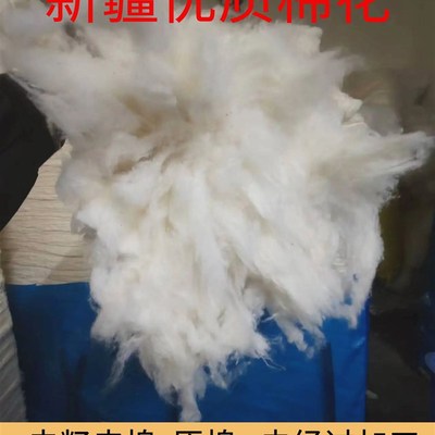正品新疆棉花一级优质长绒棉纯棉花棉衣棉被棉絮褥子填充物皮棉