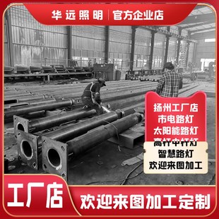 户外厂区路灯市政乡村路灯高杆路灯杆定做6米8米9米led防水路灯头