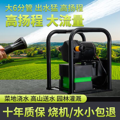 充电式抽水泵浇菜神器浇水器农用灌溉菜地浇地户外便携锂电抽水机