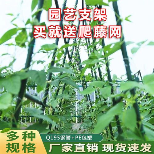 黄瓜架爬藤架户外蔬菜支架网阳台庭院豆角丝瓜葡萄攀爬室外支撑架