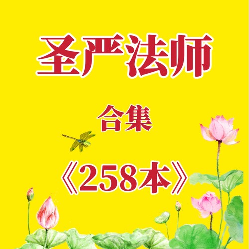 圣严法师电子书籍代找佛学入门基础佛学经典书籍圣严法师全集