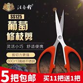 尖头S125不锈钢松修枝剪梳S花果枝调小号刀树枝剪纸花汪吾铨葡萄