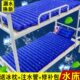 双人水床夏天疮床褥凉垫单人水床垫水学生宿舍冰席降温神器冰垫水