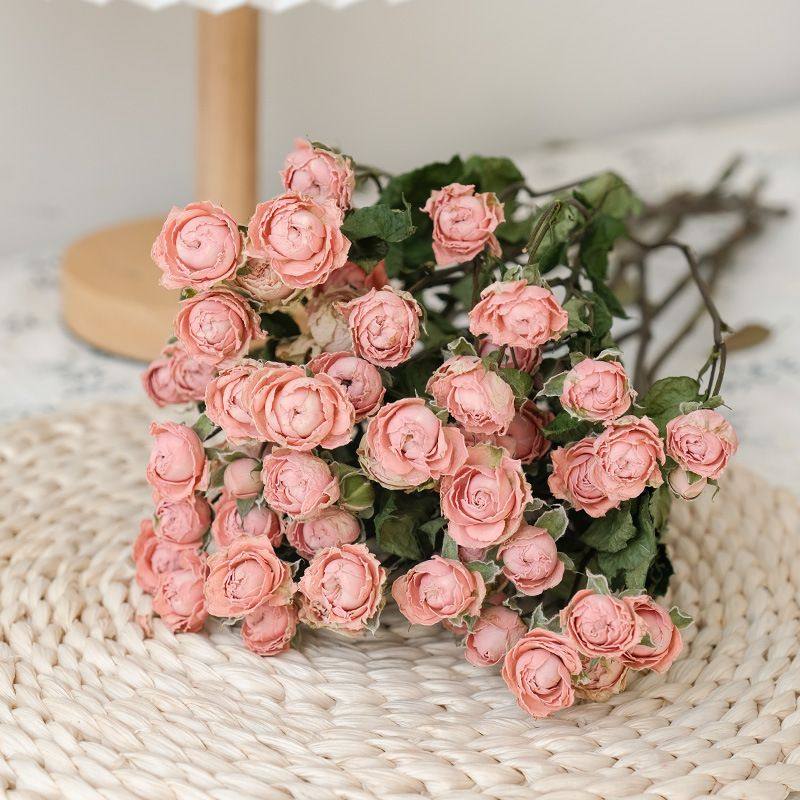 干花玫瑰 泡泡 工厂  风干真干燥花客厅装饰 拍照道具,鲜花速递/花卉仿真/绿植园艺,花材,淘宝优惠券,粉丝福利购,淘宝优惠卷