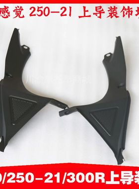 新感觉250摩托车配件250-21/150-21/300R导流罩装饰壳块仪表装饰