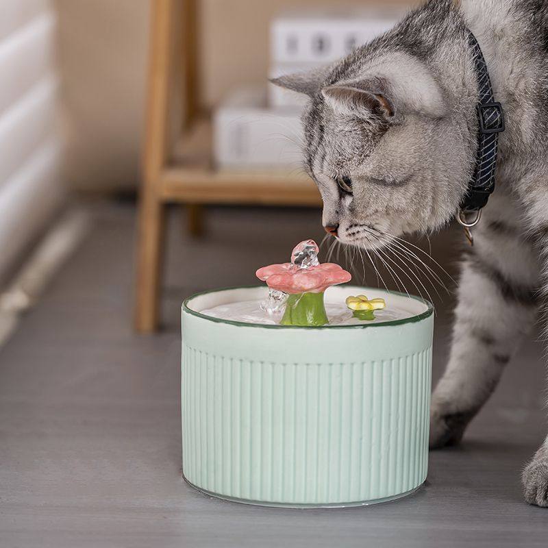 陶瓷恒温加热循环活水宠物自动器猫咪饮水机过滤饮水器水流动喝水