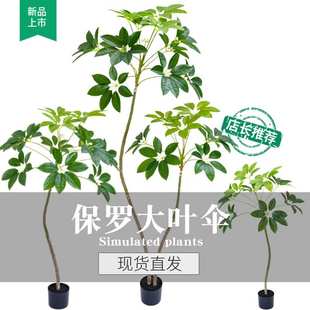 仿真保罗大叶伞绿植高端轻奢室内客厅装饰仿生假植物大型落地盆栽