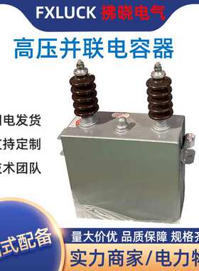 高压并联电力电容器BFM11-100-3W户外补偿BAM6.3/6.6/11/12√3-1W