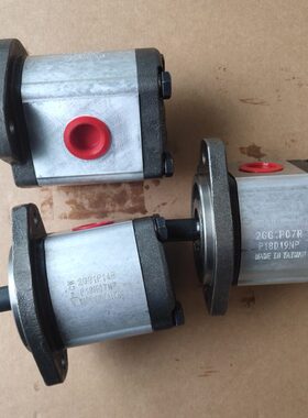 VK1R02P K15PVVP齿轮泵 V101 1钰盟9R60K1 RPK1111PR107油泵VKR