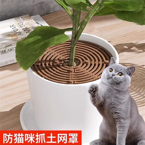 花盆防猫抓保护罩防猫网护土盖围栏盆栽网罩防小孩防护抓刨土盖板