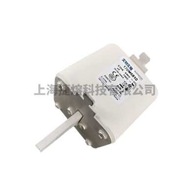 170M6810  170M6811 快速熔断器  保险丝 电子元器件 量大价优