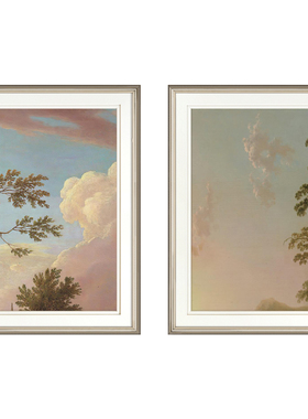 风景小众艺术现代简美装饰画客餐厅卧室简约挂画美式玄关轻奢壁画