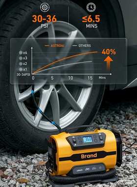 AC/DC汽车充气泵交流110-230V打气泵直流12V双电源气泵车载充气泵