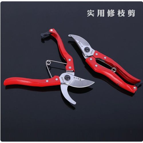 修枝剪手动果枝剪锋利实用耐用实惠剪刀花枝剪树枝修剪刀桃树修剪
