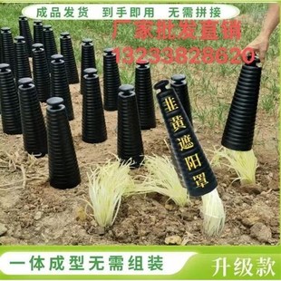 韭黄种植黑罩子家用隔光用套筒韭菜遮光筒塑料罩防晒农业圆柱盖子