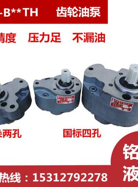 CB-B6TH/B10TH/B2.5/B4/B16/B20/B25/32齿轮油泵FTH锯机床润滑TH