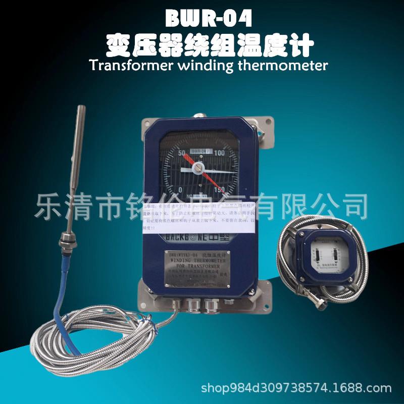 BWR-04DBWR-04AD变压器绕组温度控制器BWR-04BWR-04ABWR-04J