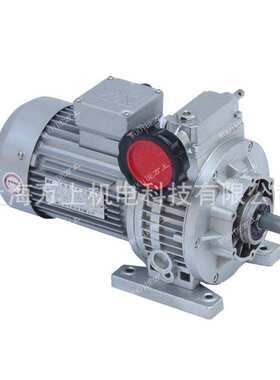MBW04Y-0.37电机卧式立式铝合金大速比硬齿双面配电机无级变速机
