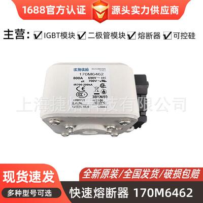 170M6462170M6463快速熔断器保险丝电子元器件量大价优
