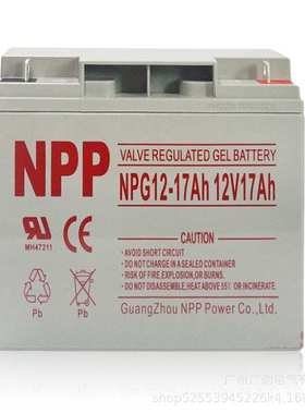 广州耐普12V100AH铅酸免维护UPS后备蓄电池 NPP蓄电池NP12-100