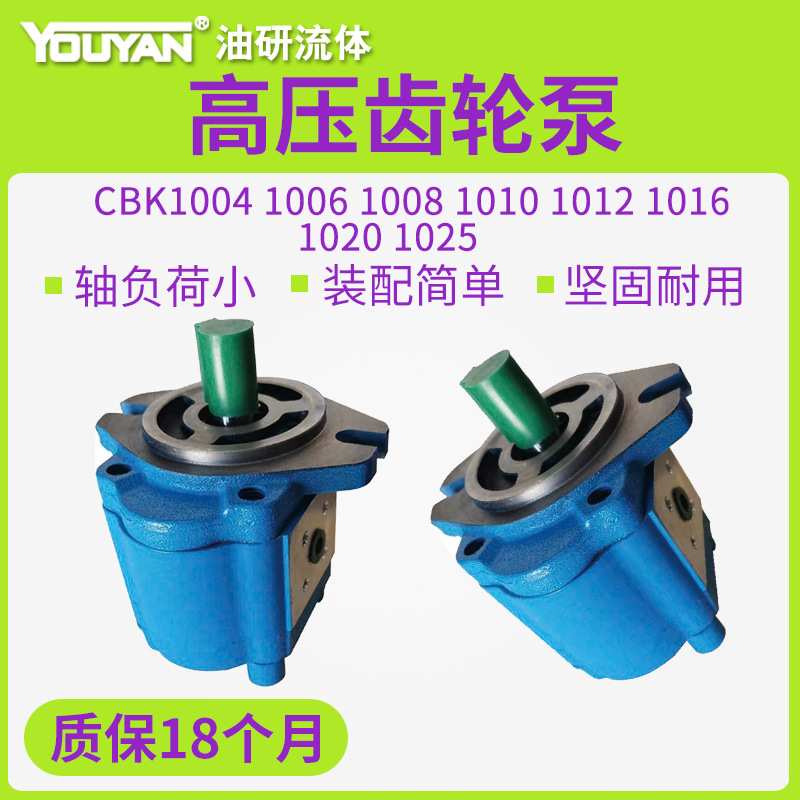 A1FL高压B1FR齿轮泵CBK1004/1006/1008/1010/1012/1016/1020/1025