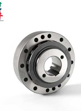 供应集成式FXM101-25单向离合器 南高齿减速机逆止器