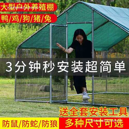 户外鸡笼鸡棚养鸡特大号家禽防雨家用鸽笼孔雀鸡舍大型养殖搭建