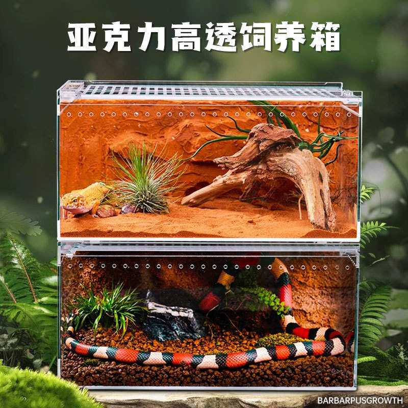 亚克力透明塑料宠物饲养盒创意简约蜥蜴守宫仓鼠乌龟玉米蛇爬虫类